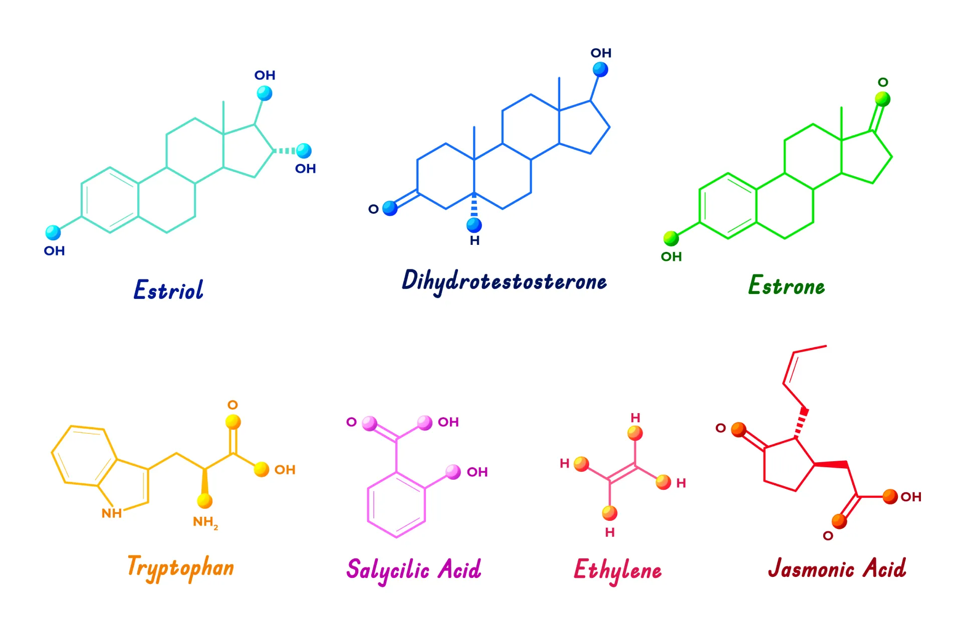 The Science Behind Amino Acids, Structure, and Synthesis