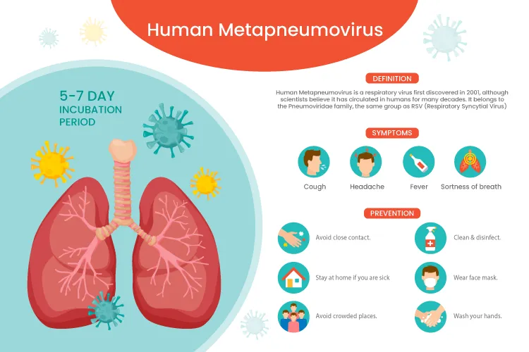 Human Metapneumovirus (HMPV): What Poles Need to Know