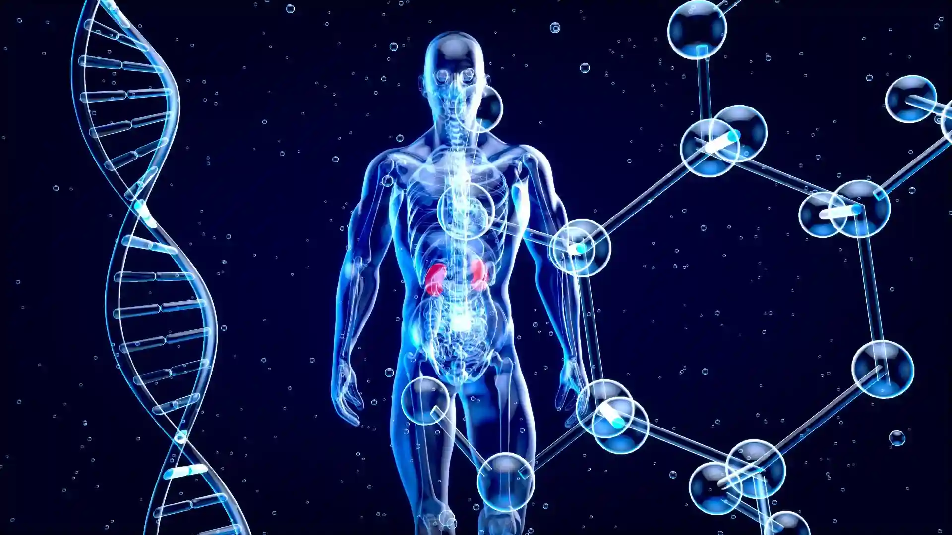 How Cell Signaling Compounds Communicate Inside the Body