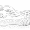 The Science of Cellular Repair - What Modern Studies Reveal